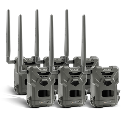 FLEX-M CA PRE-OWNED 6 PACK